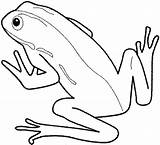 Frog Stumble sketch template