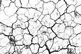 Cracks Cracked Grietas Rachaduras Fissures Blanco Branco Blanche Zwarte Vetorial Brittle Mud Ilustração Brushes Vecteur Earth sketch template