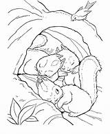 Woodland Coloring Pages Animals Popular sketch template