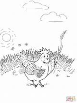 Hen Red Little Wheat Coloring Pages Gathering Color sketch template