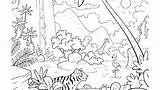 Coloring Rainforest Pages Tropical Animals Print Layers Color Kids Printable Getcolorings Adults Drawing Getdrawings Colorings Template sketch template