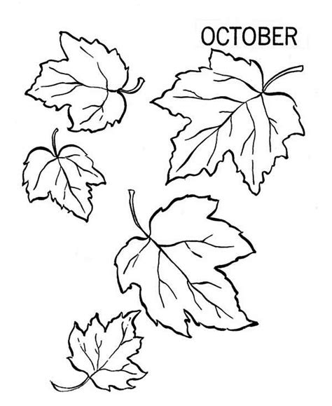 autumn fall leaf coloring page color luna