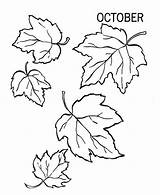 Coloring Leaves Fall Autumn Leaf Pages Thanksgiving Lots Color Printable Kids Preschool Beech Tree Falling Drawing Print Getdrawings Getcolorings Colorluna sketch template