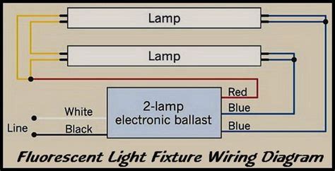 fluorescent lamp wiring diagram  wiring diagram schemas