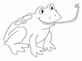 Rana Mosca Cazando Catching Ranas Moscas Frogs Reptiles Sapos Lengua Drawing Colouring Voices Kids Toads sketch template