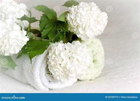 flower spa stock image image  fragrant close cosmetics