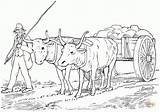 Colorir Oxen Bueyes Pulling Puxando Yugo Carretas Charette Yoked Boi Kleurplaten Boeuf Animal Ox Paysages Unidos Halando Joch Carreta Two sketch template
