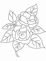 Coloring Flower Camellia Pages Recommended Flowers sketch template