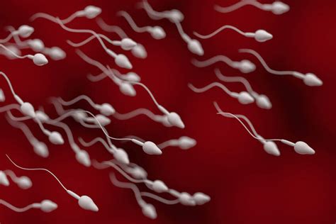 sperm cells 3d rendered illustration fertility treatment center