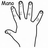 Coloring Mano Hand Para Parts Human Organs Colorear Dibujo Pintar Con Pages Kids sketch template