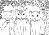 Coloriage Chats Trois Adults Dessin Coloriages Gatti Gatos Katzen Erwachsene Kittens Malbuch Justcolor Jolis Avec Colorier Imprimer Adulti Mandala Facce sketch template