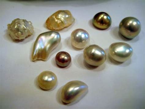 freshwater pearls information stunning usa natural freshwater pearls