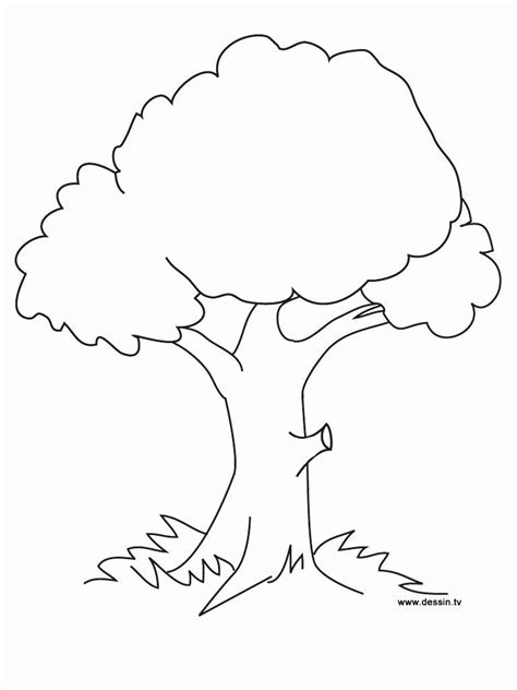 coloring page tree  leaves tree coloring page flower coloring