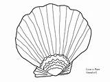 Coloring Sea Pages Seashell Shell Drawing Urchin Clam Zigzag Printable Lion Paw Shells Getcolorings Paintingvalley Open Getdrawings Adults Colorings sketch template