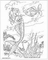 Mermaids Coloriage Sirene Sheets Bestcoloringpagesforkids Plansa Conversation Coloringhome Enregistrée Imagixs Colorat sketch template