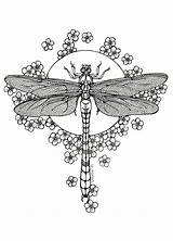 Dragonfly Coloring Pages Tattoo Adults Dragonflies Lineart Background Drawing Moon Deviantart Colouring Mandala Adult Color Drawings Flower Flowered Tattoos Designs sketch template