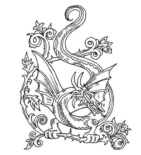printable coloring pages  adults dragons images colorist