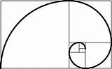 Fibonacci Instantly Nicepng Formula Automatically Geometry sketch template