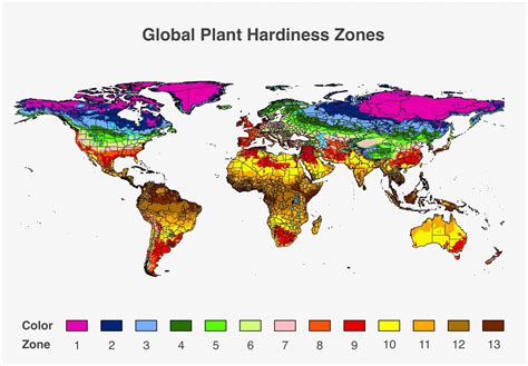 global plant hardiness zones interior design ideas