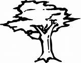Tree Pohon Coloring Drawing Arbor Icon Hitam Printable Clipart Clip Kids Putih Sketch Pixabay Outline Sketsa Pages Cliparts Draw Donate sketch template