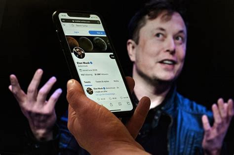 twitter   give musk   bot checkers data judge rules