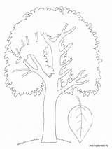 Aspen Coloring Pages Tree Leaf Drawing Printable Getdrawings 66kb 1000px sketch template