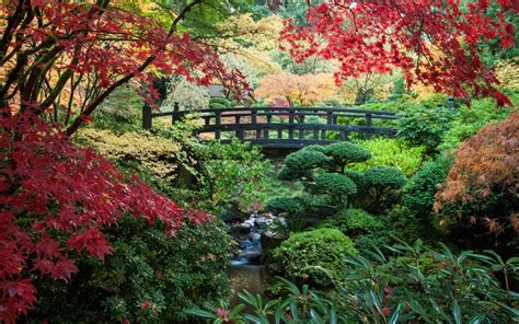 Portland Japanese Garden Portland Or America S Most