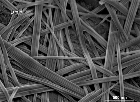 foto file microscopic images  clay  minerals cfile
