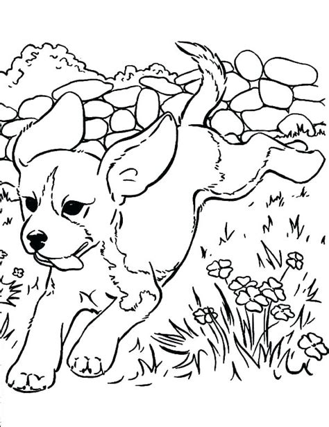 pet coloring pages  getcoloringscom  printable colorings pages