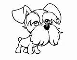 Schnauzer Coloring Miniature Pages Colorear Perro Para Dibujos Perros Dibujo Line Drawing Dog Mini シュナウザー Puppy Color Dogs ぬりえ Caricatura sketch template