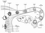 Human Week First Fertilization Embryo During Locations Many Forms Embryogenesis Uterus Pdf Development Stages Implantation Embryonic Zygote Blastocyst Cell Egg sketch template
