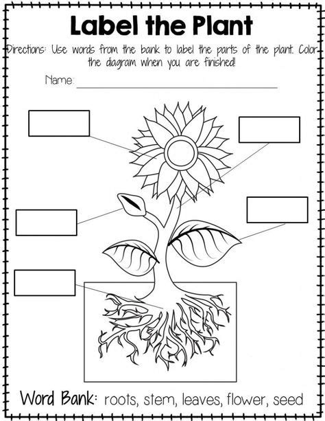 image result    garden worksheets  preschoolers  images