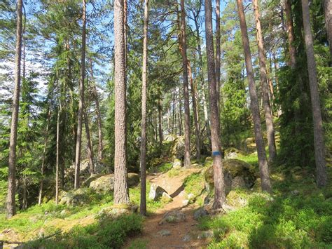 瑞典 10 大国家公园 tripadvisor