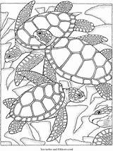 Pages Aboriginal Coloring Colouring Ocean Turtle Sea Sheets sketch template