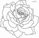 Coloring Flower Pages Printable Flowers Rose Color Sheets Visit sketch template