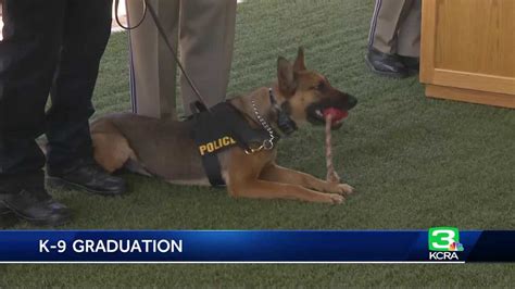 new class of k 9 officers graduate