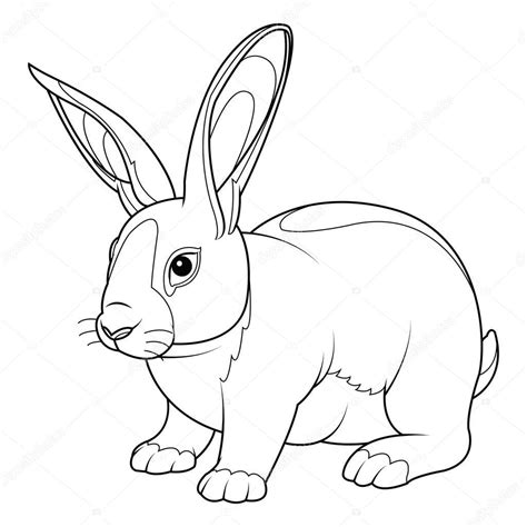 rabbit coloring page stock vector  lumyaisweet