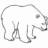 Coloring Polar Bear Pages Bears Print Kids Printable sketch template