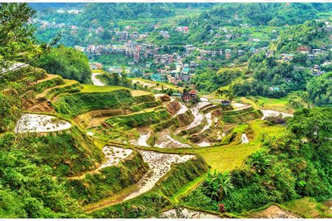 banaue rice terraces northern high quality nature stock  creative market