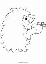 Da Colorare Hedgehog Disegno Riccio Disegni Kids Crafts Omalovánky Ježek Hedgehogs Děti Pro Artigianato Craft Ruční Výrobky Autunnale Tuttodisegni Salvato sketch template
