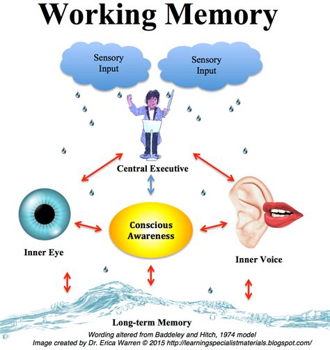 fun facts  memory symptoms  strategies infographic good