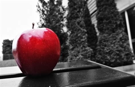 gambar buah apel hitam putih