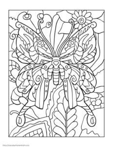 beautiful butterfly coloring pages  kids  adults