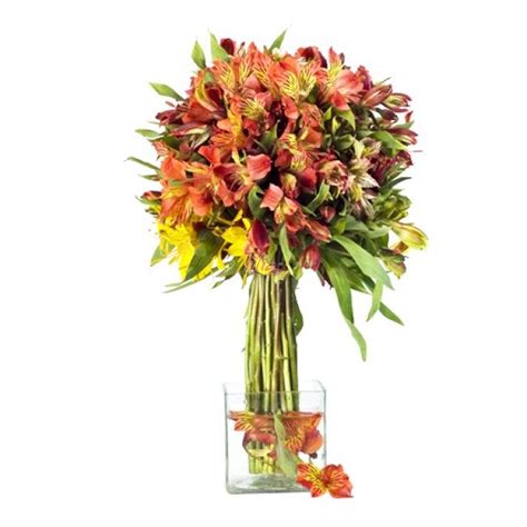 send  elegant wishes tilia flowers