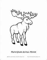 Maine Animal Coloring Pages Moose Printables Tennis State Wordsearch Crossword Puzzle Getcolorings Facts Print Fun Printable sketch template