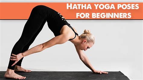 hatha yoga poses  beginners