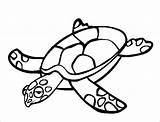 Turtle Template Templates Coloring Colouring Sleepy Pages sketch template