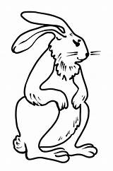 Rabbit sketch template