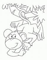 Spider Affen Malvorlagen Monyet Halaman Timeless Miracle Kertas Mewarna Haiwan sketch template