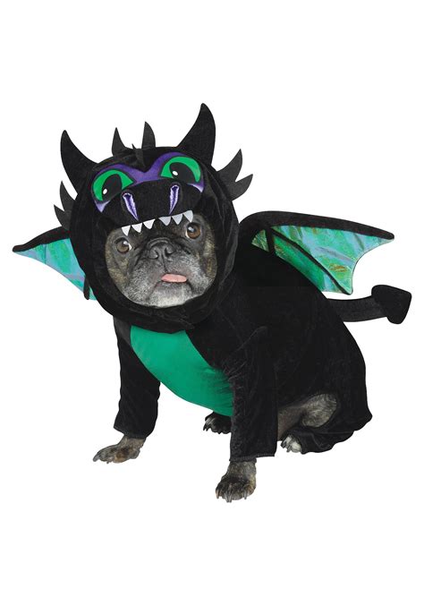 dog dragon pet costume